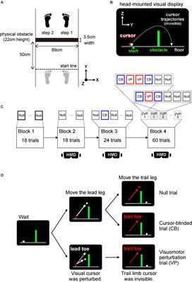 Visuomotor Transformation for the Lead Leg Affects Trail Leg Trajectories During Visually Guided Crossing Over a Virtual Obstacle in Humans